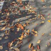 ヒメ日記 2025/11/27 17:38 投稿 こゆき 東京人妻セレブリティ（ユメオト）