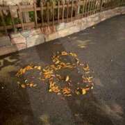 ヒメ日記 2025/12/02 00:29 投稿 こゆき 東京人妻セレブリティ（ユメオト）