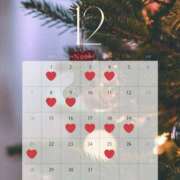 ヒメ日記 2025/12/02 19:30 投稿 こゆき 東京人妻セレブリティ（ユメオト）