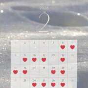 ヒメ日記 2026/01/28 20:00 投稿 こゆき 東京人妻セレブリティ（ユメオト）