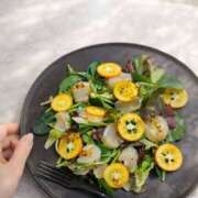 ヒメ日記 2026/02/20 12:01 投稿 こゆき 東京人妻セレブリティ（ユメオト）