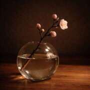 ヒメ日記 2026/02/25 22:00 投稿 こゆき 東京人妻セレブリティ（ユメオト）