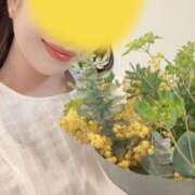 ヒメ日記 2026/03/10 12:01 投稿 こゆき 東京人妻セレブリティ（ユメオト）