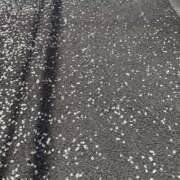 ヒメ日記 2026/03/27 22:00 投稿 こゆき 東京人妻セレブリティ（ユメオト）