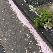 ヒメ日記 2026/03/31 17:47 投稿 こゆき 東京人妻セレブリティ（ユメオト）