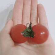 ヒメ日記 2026/04/22 07:31 投稿 こゆき 東京人妻セレブリティ（ユメオト）