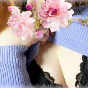 ヒメ日記 2025/12/12 16:00 投稿 あやね 柏人妻花壇