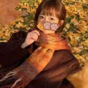 ヒメ日記 2025/11/27 07:04 投稿 あい SOPHIA（ソフィア）