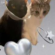 ヒメ日記 2026/01/26 15:13 投稿 あい SOPHIA（ソフィア）