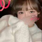 あい 私のバレンタイン SOPHIA（ソフィア）