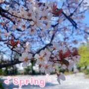 ヒメ日記 2026/03/22 08:13 投稿 あい SOPHIA（ソフィア）