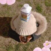 ヒメ日記 2026/03/29 08:03 投稿 あい SOPHIA（ソフィア）