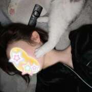 あい ありがたい SOPHIA（ソフィア）