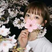 あい 新緑🌿‬ SOPHIA（ソフィア）