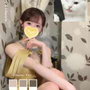 ヒメ日記 2026/05/09 08:13 投稿 あい SOPHIA（ソフィア）