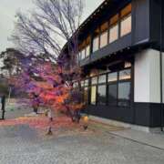 ヒメ日記 2025/12/05 09:16 投稿 るな チューリップ仙台店