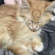 ヒメ日記 2025/12/08 23:16 投稿 るな チューリップ仙台店