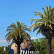 ヒメ日記 2025/12/10 08:46 投稿 るな チューリップ仙台店