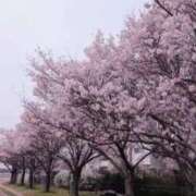 ヒメ日記 2026/04/01 10:34 投稿 かりん 完熟ばなな梅田