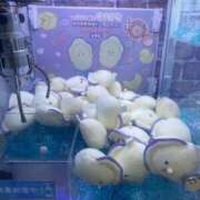 おとは 本日 見学娘