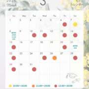 ちさと 🌼3月のスケジュール🌼 シャングリラ