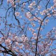 ヒメ日記 2026/03/25 18:04 投稿 ちさと シャングリラ