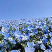 ヒメ日記 2026/03/29 12:06 投稿 ちさと シャングリラ