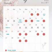 ヒメ日記 2026/08/27 13:02 投稿 ちさと シャングリラ