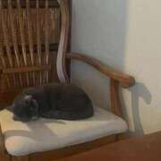 18歳☆マシロ 出勤しました！ チュパチャップス