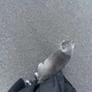 ヒメ日記 2026/02/13 18:50 投稿 18歳☆マシロ チュパチャップス