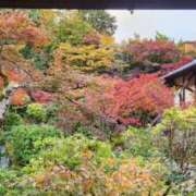 ヒメ日記 2025/11/12 20:11 投稿 弦巻梢 プルデリR40