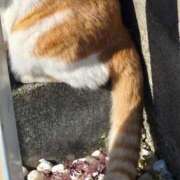 ヒメ日記 2025/11/17 11:45 投稿 弦巻梢 プルデリR40