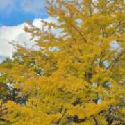 ヒメ日記 2025/11/19 23:12 投稿 弦巻梢 プルデリR40