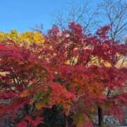 ヒメ日記 2025/11/23 20:33 投稿 弦巻梢 プルデリR40