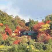 ヒメ日記 2025/11/29 14:13 投稿 弦巻梢 プルデリR40