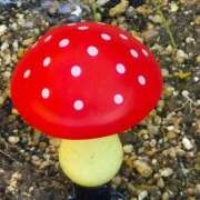 ヒメ日記 2025/12/19 13:02 投稿 弦巻梢 プルデリR40