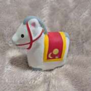 ヒメ日記 2026/01/04 14:09 投稿 弦巻梢 プルデリR40