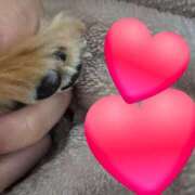 ヒメ日記 2026/02/07 11:11 投稿 弦巻梢 プルデリR40