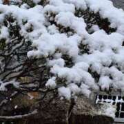 ヒメ日記 2026/02/08 13:04 投稿 弦巻梢 プルデリR40