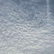 ヒメ日記 2026/02/16 13:03 投稿 弦巻梢 プルデリR40