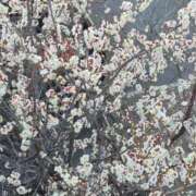 ヒメ日記 2026/02/18 13:18 投稿 弦巻梢 プルデリR40