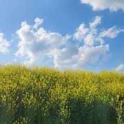 ヒメ日記 2026/03/02 07:01 投稿 弦巻梢 プルデリR40