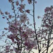 ヒメ日記 2026/03/28 07:07 投稿 弦巻梢 プルデリR40