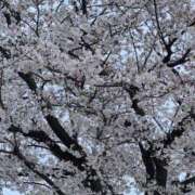 ヒメ日記 2026/04/01 13:55 投稿 弦巻梢 プルデリR40