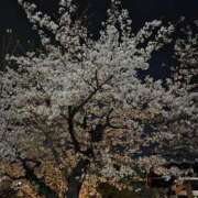 ヒメ日記 2026/04/05 20:01 投稿 弦巻梢 プルデリR40