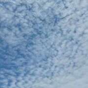 ヒメ日記 2026/04/14 16:56 投稿 弦巻梢 プルデリR40