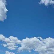 ヒメ日記 2026/05/09 11:29 投稿 弦巻梢 プルデリR40