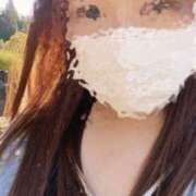 ヒメ日記 2025/11/20 11:28 投稿 ばる 石川金沢ちゃんこ