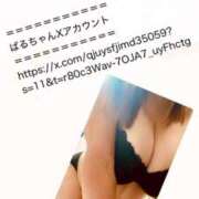 ヒメ日記 2025/11/23 11:58 投稿 ばる 石川金沢ちゃんこ