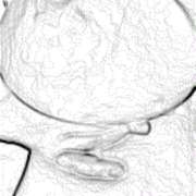 ヒメ日記 2025/12/06 11:28 投稿 ばる 石川金沢ちゃんこ